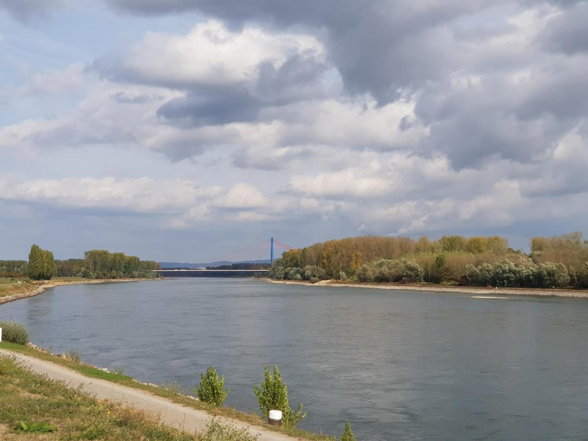 Wohnen Direkt Am Rhein, Zentrums- Und Domnah, 55Qm Apartment Speyer Luaran gambar